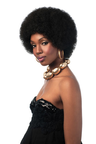 Big Afro Sleek Synthetic Wig Fashion