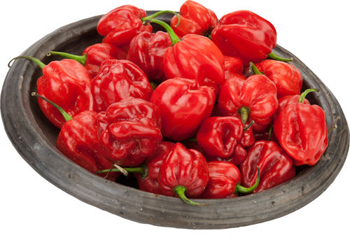 Pepper Hot Pili-Pili Red Uganda Frozen 150g