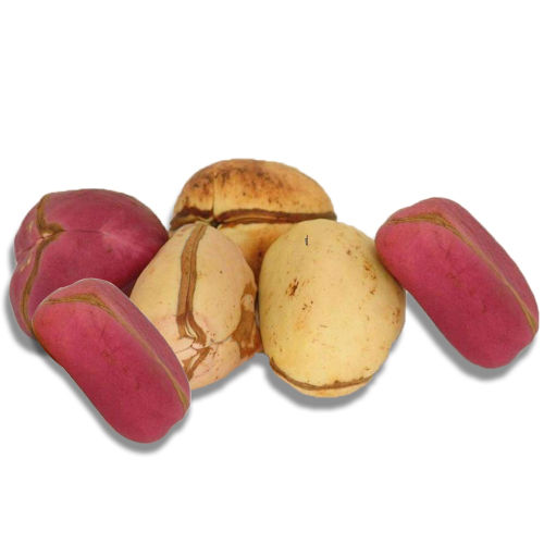 African Red Kola Nuts