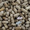 Fresh Peanuts from Cameroon - Arachides frais du Cameroun